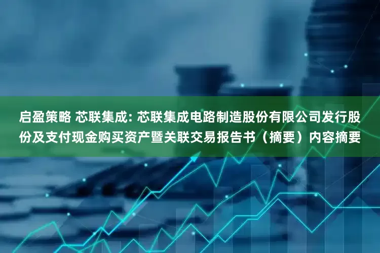 启盈策略 芯联集成: 芯联集成电路制造股份有限公司发行股份及支付现金购买资产暨关联交易报告书（摘要）内容摘要
