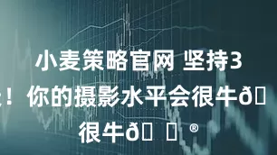 小麦策略官网 坚持30天！你的摄影水平会很牛🐮